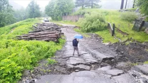 Balkan ülkeleri Bosna Hersek ile Sırbistan'da iki gündür aralıksız devam
