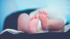 İçişleri Bakanlığı Nüfus ve Vatandaşlık İşleri Genel Müdürlüğünden aldığı verilere