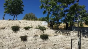 TİKA, İsrail polisinin Müslümanlara ait Yusufiye Mezarlığı'nın duvarındaki TİKA tabelalarını