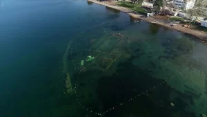 Bursa'nın İznik ilçesinde, göl kıyısının 20 metre açığında 1,5-2 metre