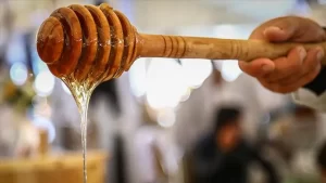 Zonguldak Arı Yetiştiricileri Birliği Başkanı Abdurrahman Canlı, "Kestane balını 170