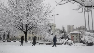 SARAYBOSNA   Bosna Hersek'te kar hayatı olumsuz etkiledi   Bosna