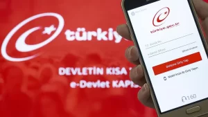 Kamuda 'e-Devlet' seferberliği Kamu kurumlarının e-devlet projesi hazırlama ve yönetme