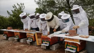 İzmir'de Korkuluk Festivali ile adını duyuran kırsal Barbaros Mahallesi'ne yerleşen