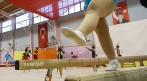 Türkiye Cimnastik Federasyonu, Türkiye Özel Sporcular Spor Federasyonu, Türkiye Spor