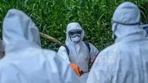 Hac döneminde, Ebola salgınının yayıldığı Kongo Demokratik Cumhuriyeti'nden geleceklere vize