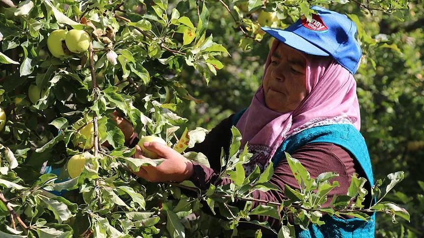 Fransa ve İspanya'daki bebeklerin meyve püresi Erzincan'dan