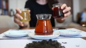 Akdeniz Üniversitesi Gıda Mühendisliği Bölümü tarafından, iki yıl süren çalışma
