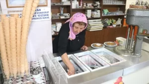 Erzincan Büyük şehrin stresinden uzaklaşmak için Ankara'dan, memleketleri Erzincan'a dönen