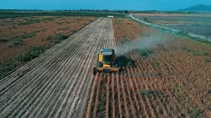Tarım ve Orman Bakanı Bekir Pakdemirli, "Yağlı tohumlu bitkiler için