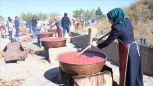 Kayseri'de bir grup ev kadını, Melikgazi Belediyesinin "salça günleri" etkinliğinde