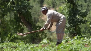 Yıllarca bölücü terör örgütüne mensup teröristlerin saldırılarıyla gündeme gelen Hakkari'nin