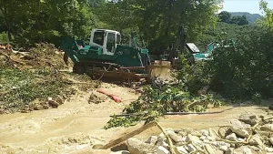 Düzce'nin Akçakoca, Cumayeri ve Gölyaka ilçelerinde meydana gelen sel felaketinde