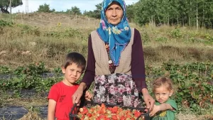 Giresun'un Alucra ilçesinde yaşayan 60 yaşındaki Şaziye Karslıoğlu, 20 bin