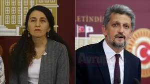 HDP Mardin Milletvekili Ebru Günay, Türkiye'deki Kürt toplumunun "soykırım riski"