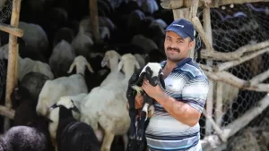 Çorum'da devletten aldığı hibe koyunlarla hayvancılık yapmaya başlayan Kaya, köye