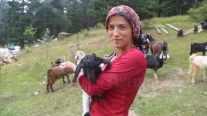 Kastamonu'da, "Genç Çiftçi Projesi" kapsamında yaşları 18 ile 40 arasındaki