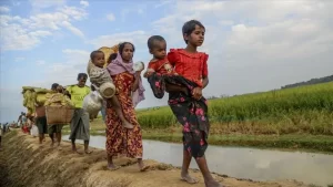 Arakanlı Müslümanların temsilcileriyle Myanmar heyeti arasında kısa süre önce yapılan