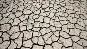 CNN'in haberine göre, Nature Climate Change dergisinde yayımlanan çalışmada, 2000-2021