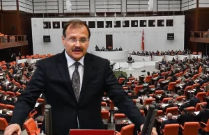 Türkiye Büyük Millet Meclisi’nde (TBMM) “Avrupa Ülkelerinde Yükselen Irkçılık ve