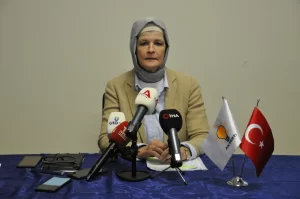 AK Parti Almanya Temsilcisi Meryem Göka, Türkiye'nin dış politika gelişmeleri,