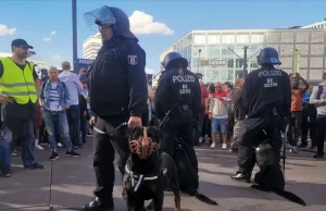 Almanya’da aşırı sağcılar tarafından işlenen suçlar, 2 yıldan beri yeniden