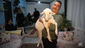 Muğla'nın Bodrum ilçesinde yaşayan Aksın ailesi, sakat doğan ve "Melek"
