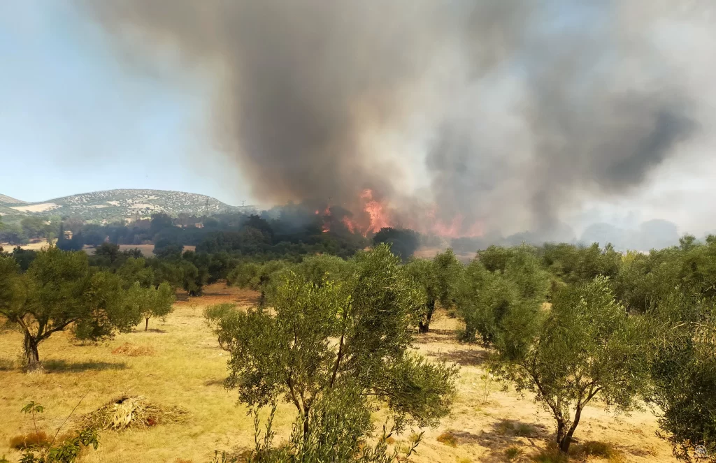 Çanakkale'nin Ezine ilçesinde çıkan orman yangınına müdahale ediliyor