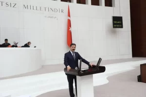 AK Parti İstanbul Milletvekili, Yurtdışı Türkler ve Akraba Topluluklar Alt