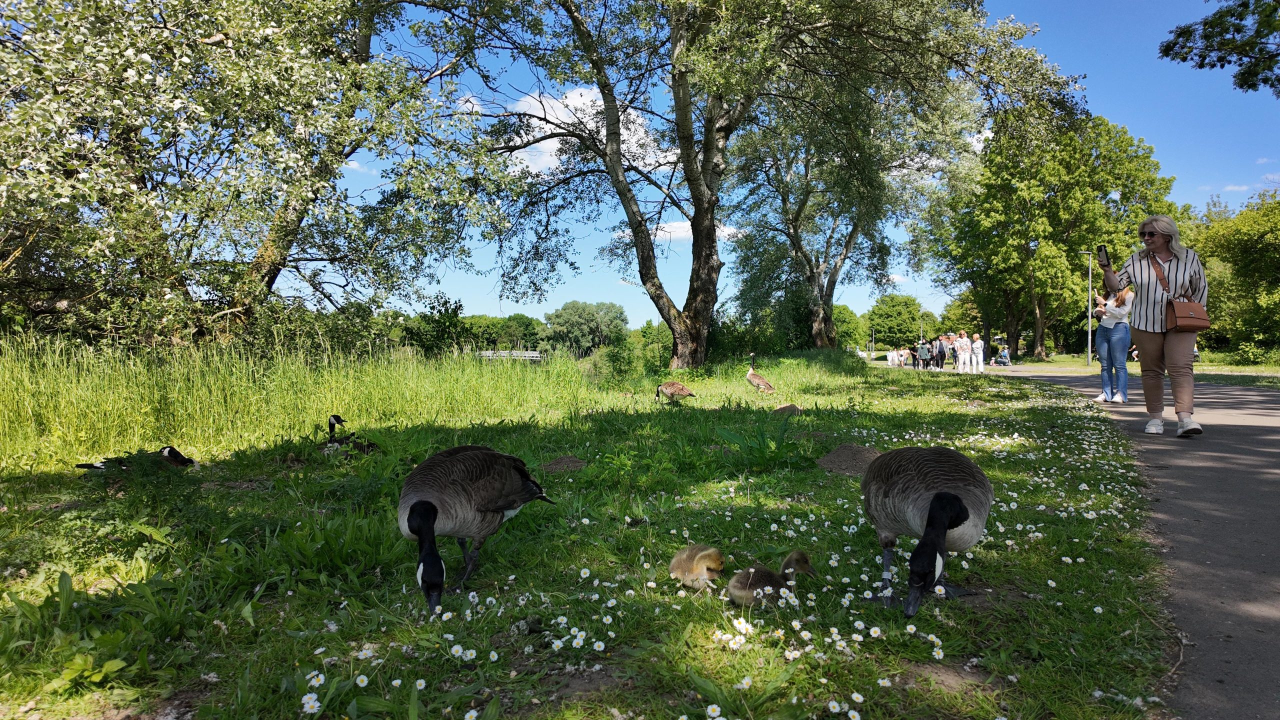 Kemander Gölü Anneler Günü’nde ziyaretçi akınına uğradı