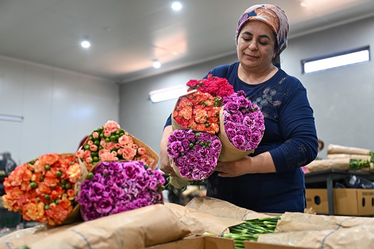 Anneler Günü için Türkiye'den 30 ülkeye 75 milyon çiçek gönderildi 7 annelergunu2