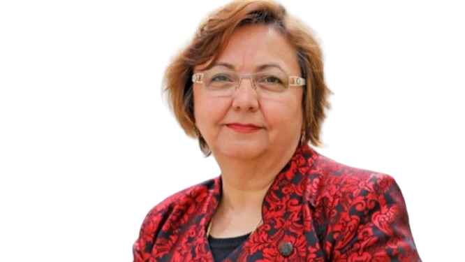  (AKİB) Genel Başkanı Ali Hızar, Hollanda’nın saygın eğitim kurumlarından Delft