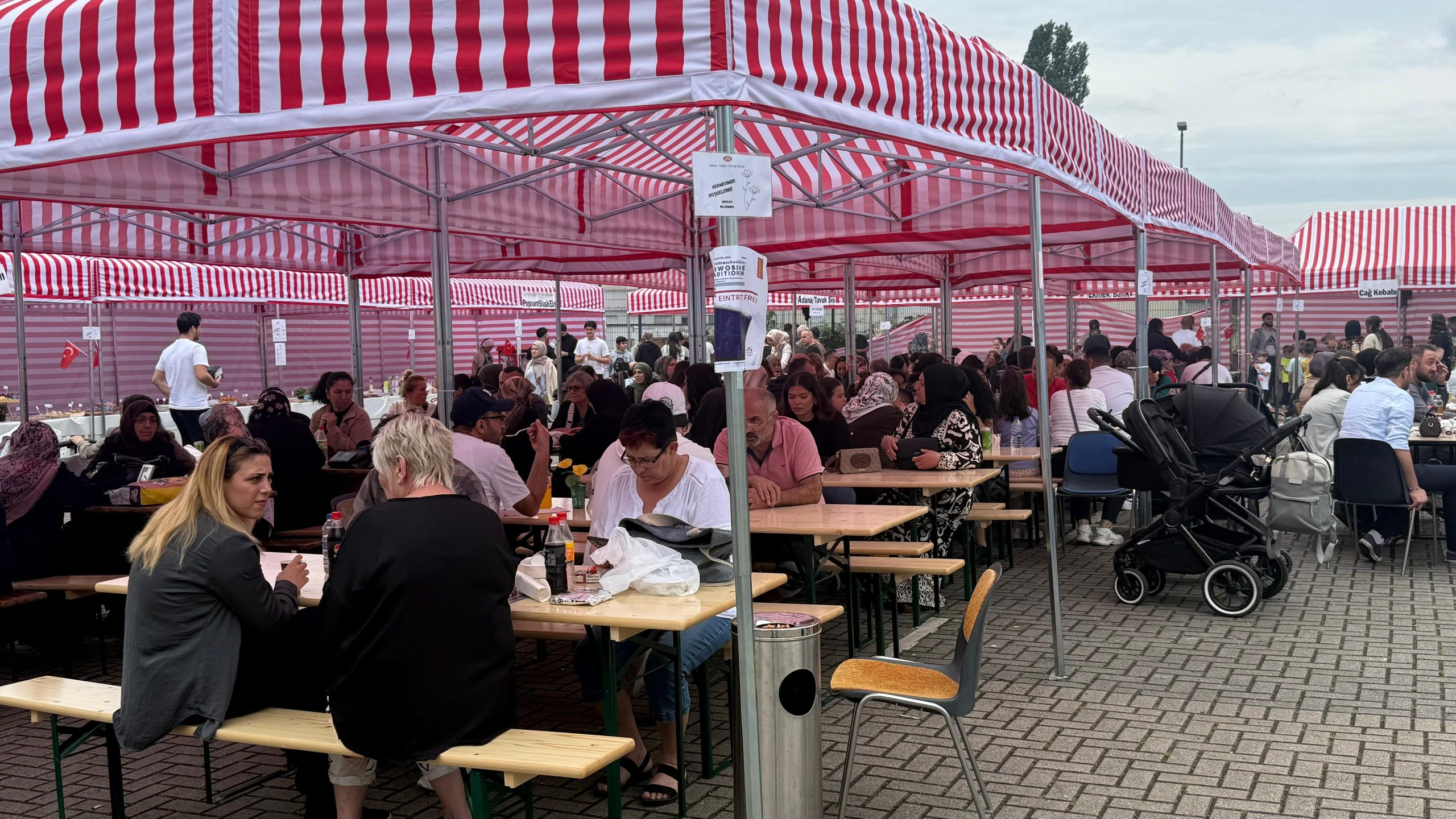witten kermes4 scaled