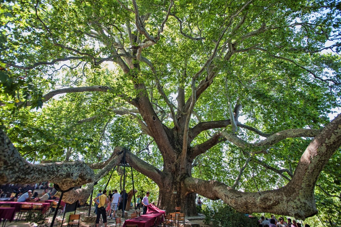 Adını Osmanlı Devleti’nin ilk köylerinden biri olan İnkaya Köyü’nden almıştır.