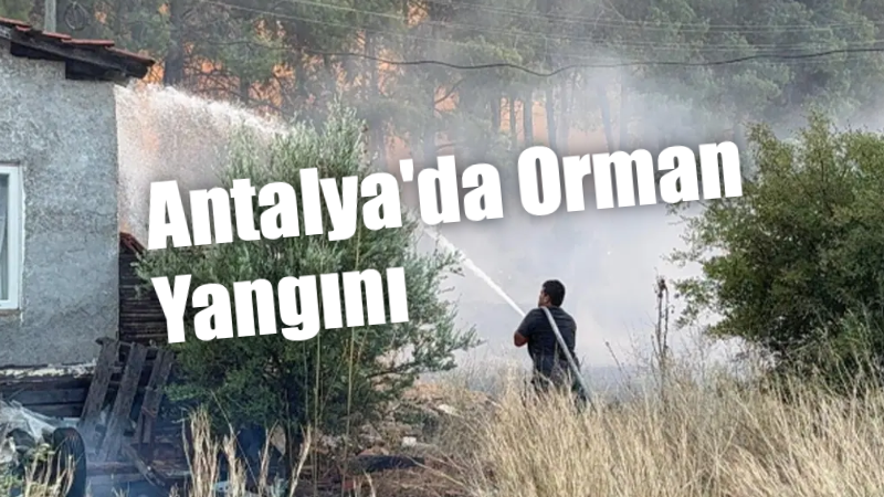 Antalya’nın Aksu, Muratpaşa ve Manavgat