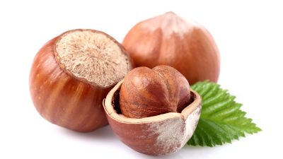 2025/2026 sezonu için kabuklu fındık alım fiyatları belli oldu. Fındık