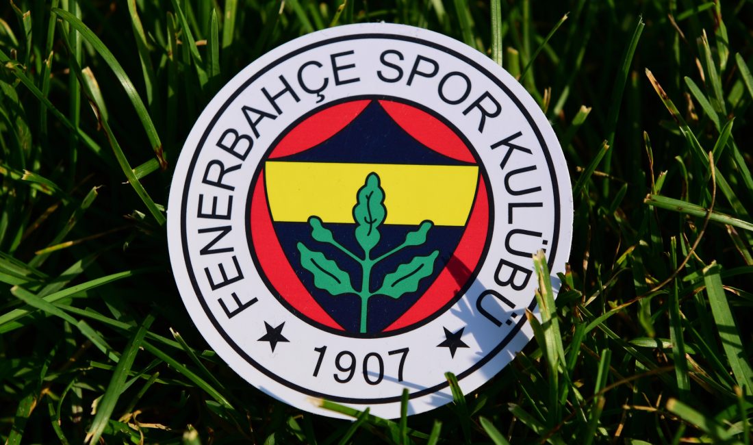 UEFA Şampiyonlar Ligi 3. eleme turu ilk maçında Fenerbahçe, Feyenoord