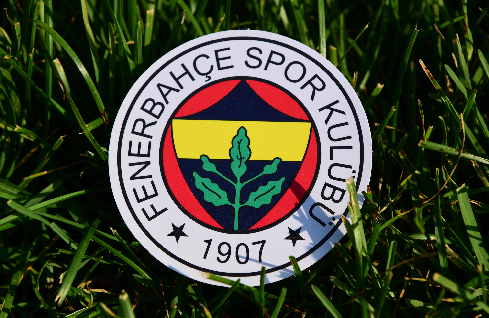 UEFA Şampiyonlar Ligi 3. eleme turu ilk maçında Fenerbahçe, Feyenoord