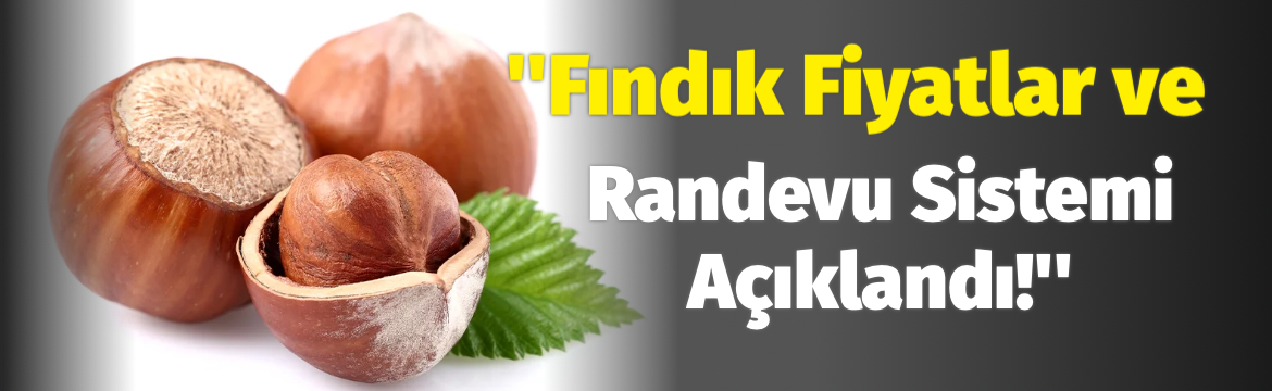 2025/2026 sezonu için kabuklu fındık