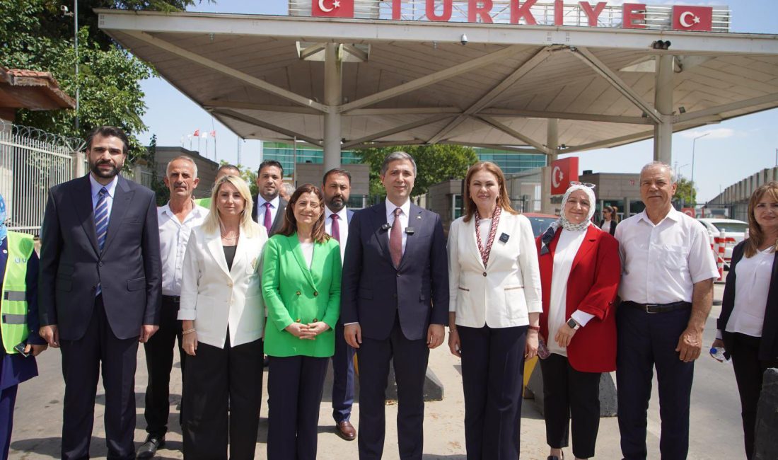 AK Parti Genel Başkan Yardımcısı, Dış İlişkiler Başkanı ve İstanbul