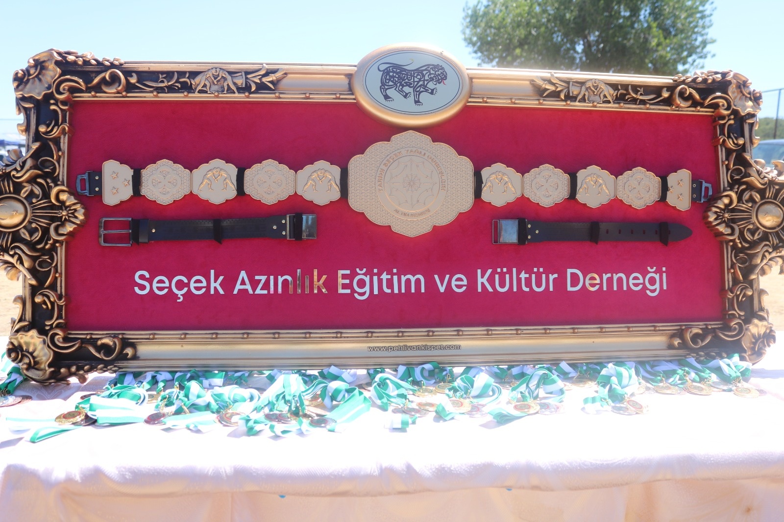 gndm1754247563