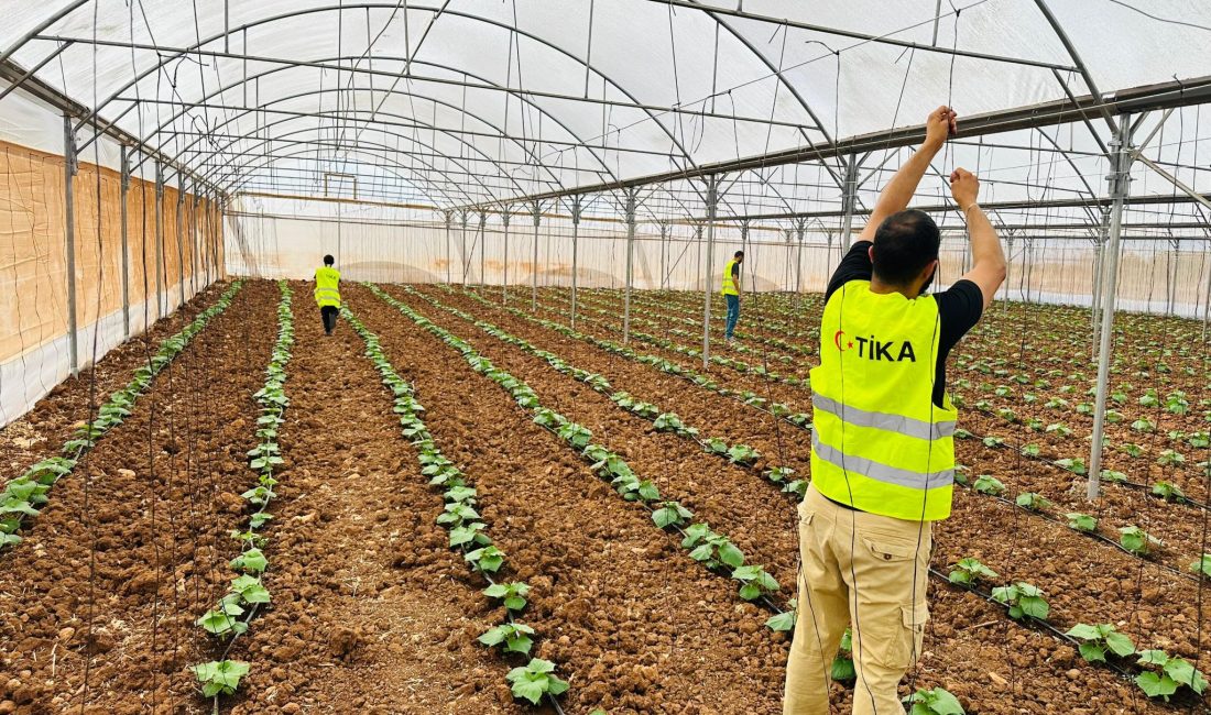 Türk İşbirliği ve Koordinasyon Ajansı Başkanlığı (TİKA), Filistin’in Cenin kentinde