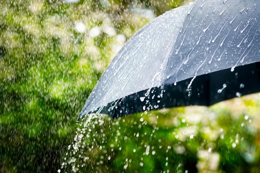 Meteoroloji Genel Müdürlüğü, Edirne, Kırklareli ve Tekirdağ çevrelerinde etkili olacak