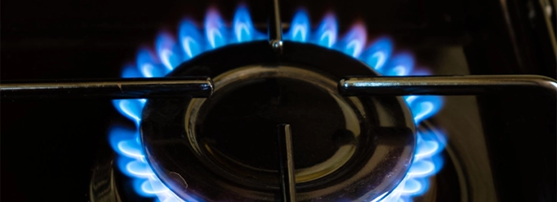 Söder Almanya'yı uyardı Enerji fiyatı düşmezse biteriz