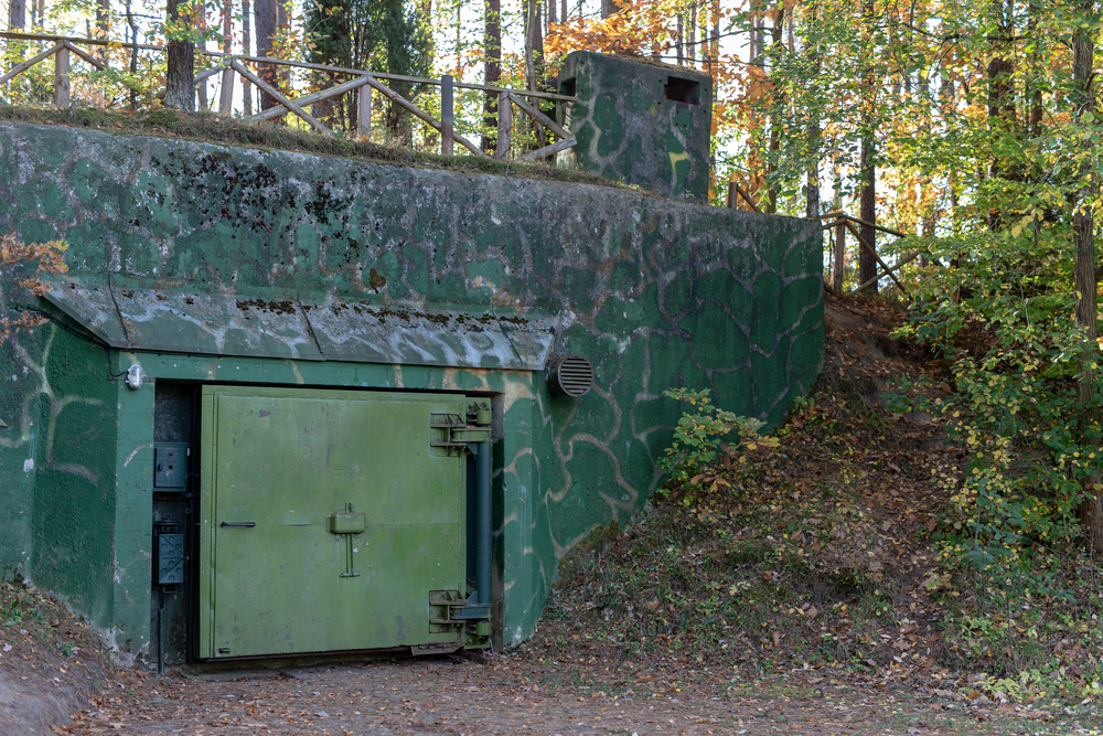 Almanya, Polonya sınırında savunma önlemlerini artırıyor