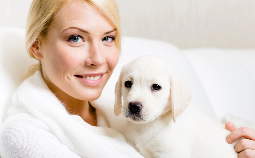 Almanya'da köpek sahiplerinden rekor vergi: Gelir 440 Milyon Euro'ya yaklaşıyor