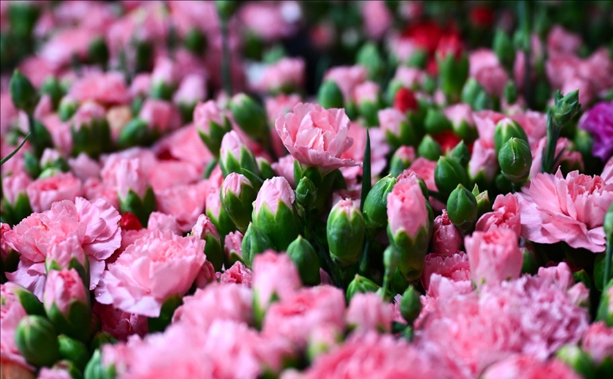 Türkiye’den 83 ülkeye çiçek ihracatı