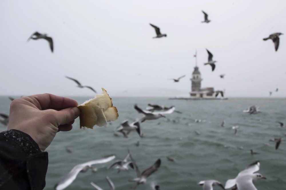 Ocak Şaşırttı: Sıcaklıklar Rekora Koşuyor!