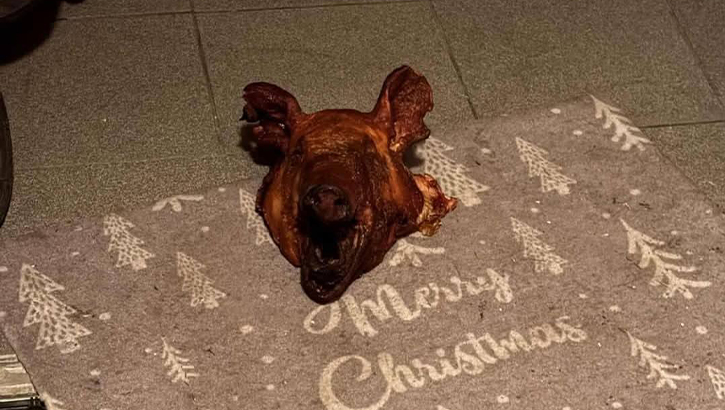 Avusturya’da Türk Aileye Ramazan Ayında Irkçı Saldırı