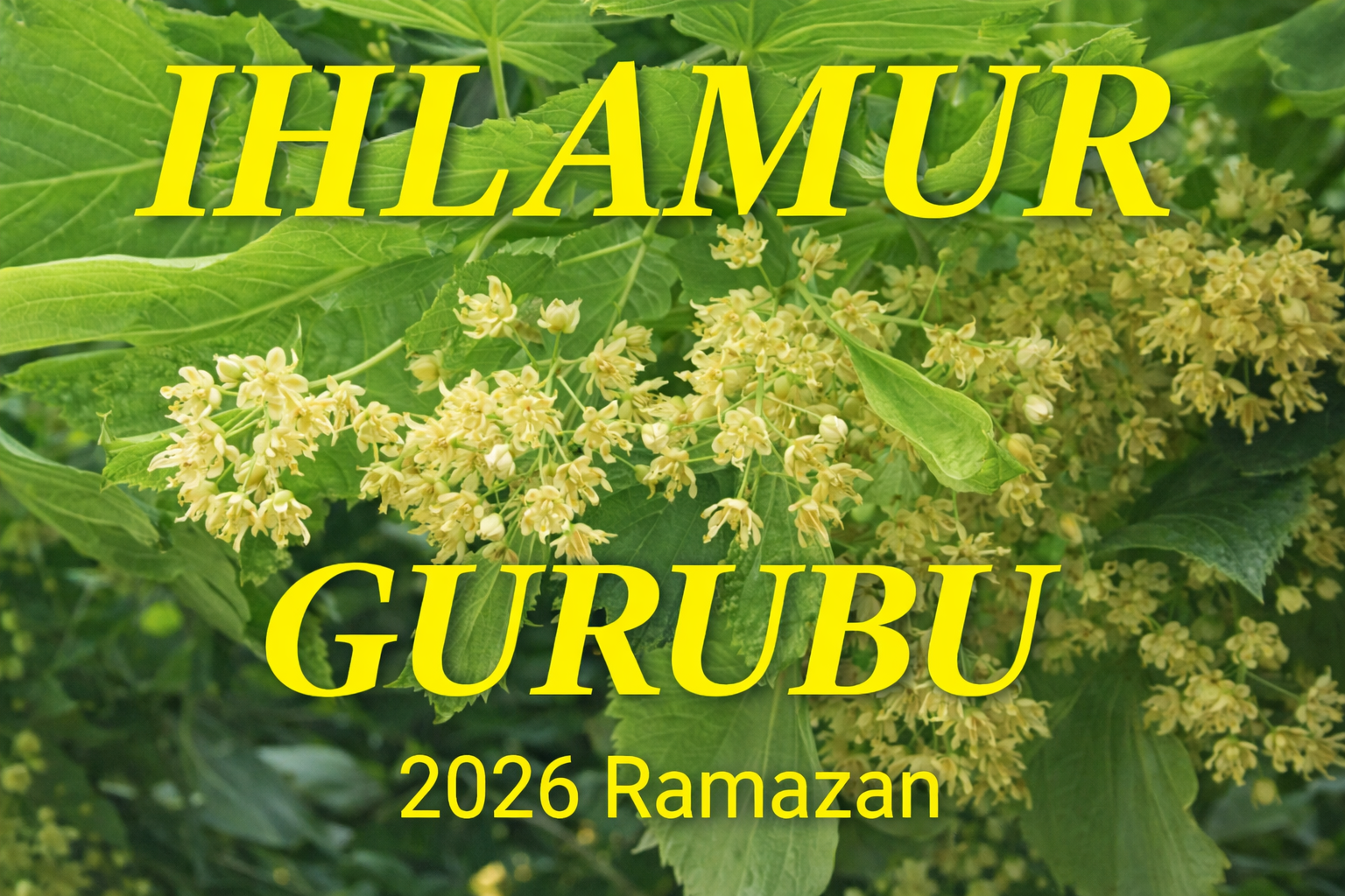 Ihlamur Grubu’ndan Ramazan’da Gönül Seferberliği